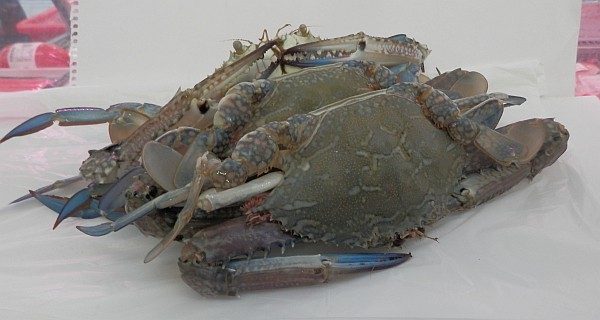 WA Crabs WA Crabs