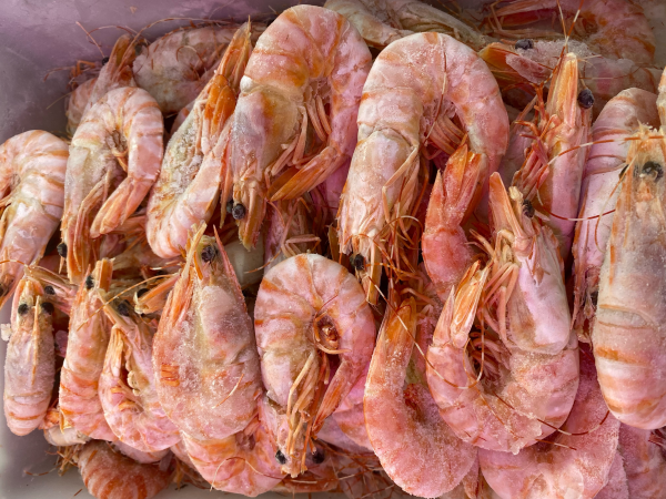 WA-Shark-Bay-Whole-Cooked-Tiger-Prawns-Tarni-Brand-image-1