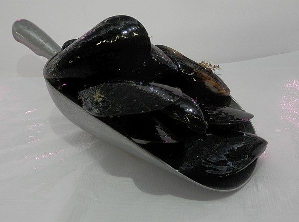 Australian Mussels